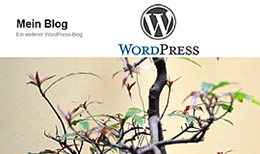 Was ist WordPress