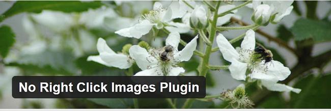 no-right-click-images-plugin