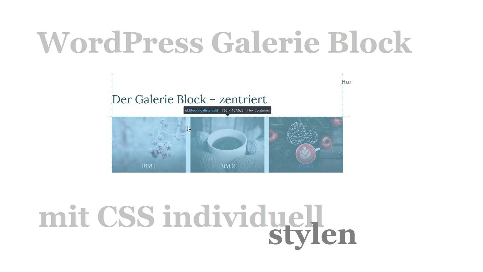WordPress Galerie Block mit CSS individuell stylen – so geht’s