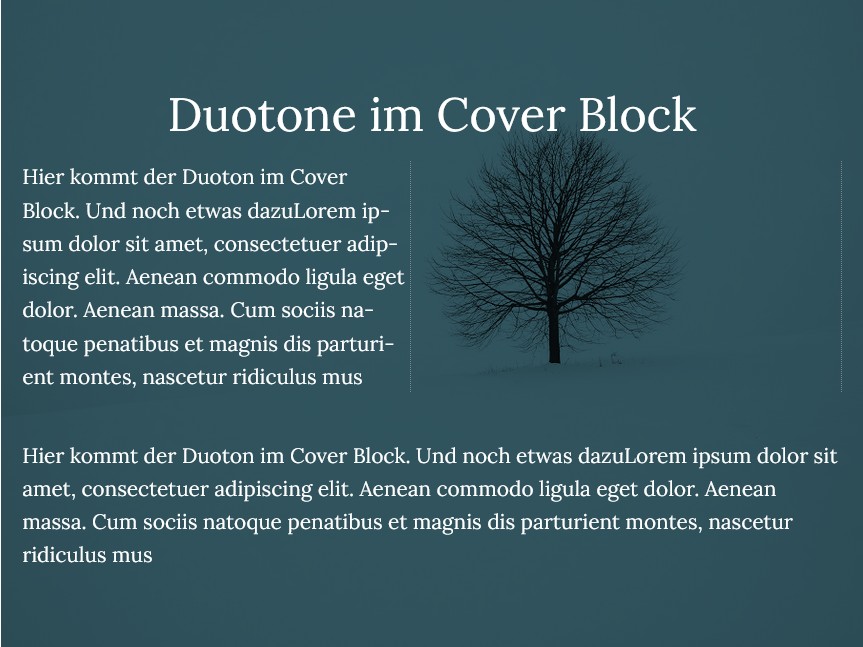 duotone-im-cover-block-01