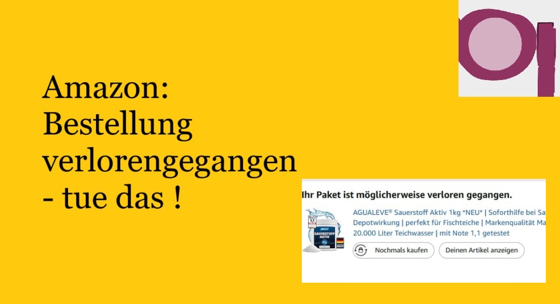 Amazon: Paket verloren gegangen – tue das !